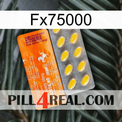 Fx75000 new05